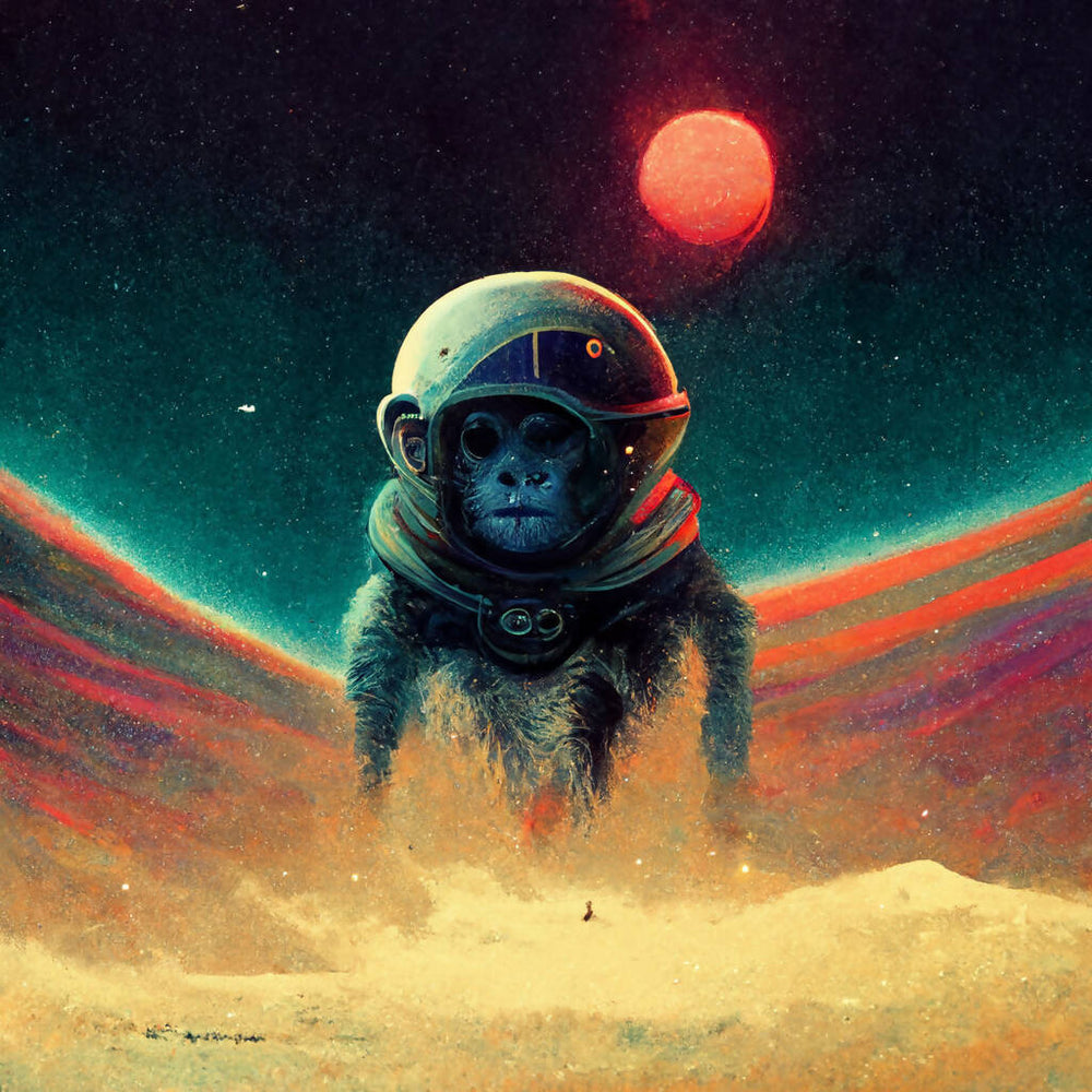 Space Age Monkey